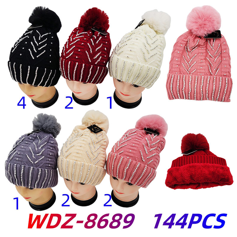 WDZ-8689 CS144